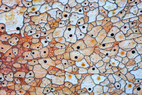 Mosaic Decay