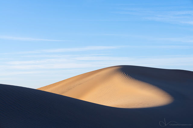 Daylight Dune print