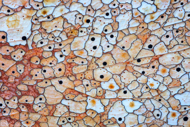 Mosaic Decay print