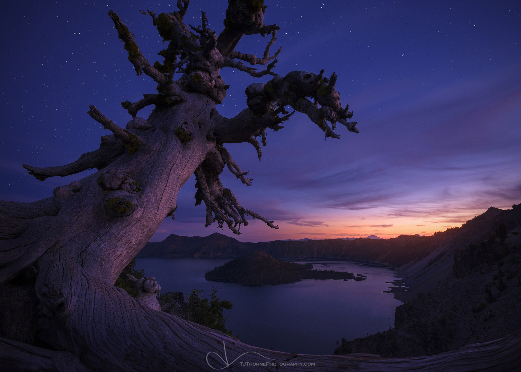 A whitebark pine overlooks Crater Lake under a starry twilight sky. This is the second image from my two week long artist-in-...