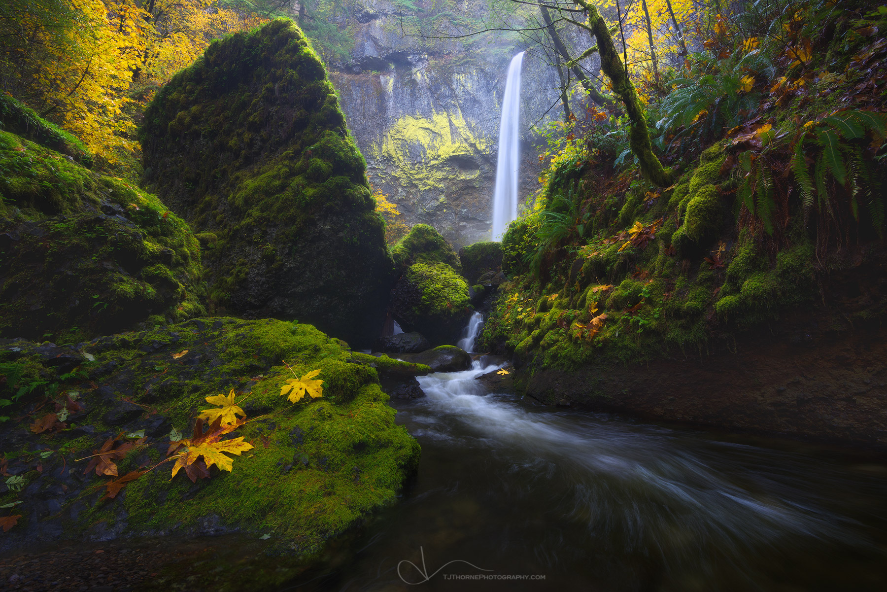Autumn colors along the creek at Elowah Falls in the Columbia River Gorge, Oregon. If I had to pick one waterfall that I thought...