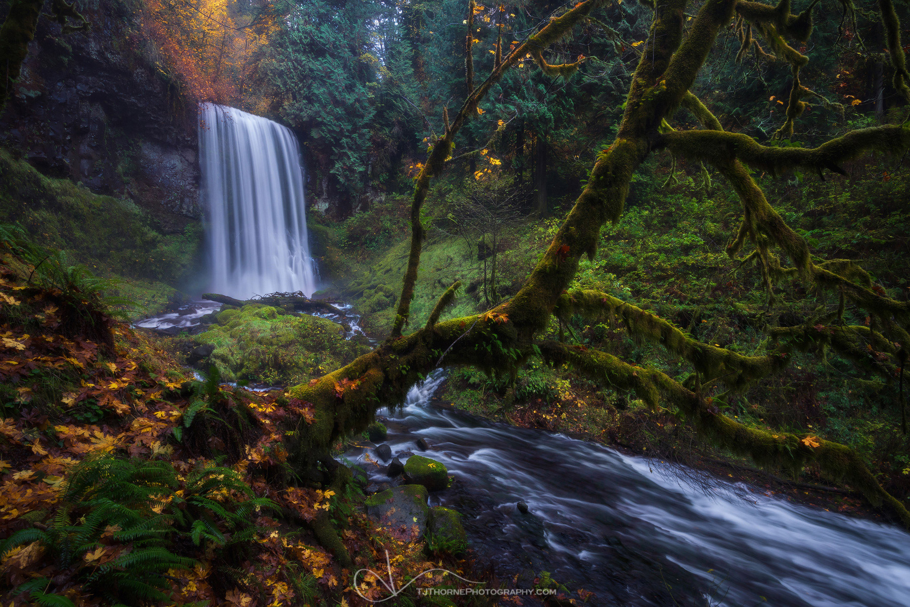 A hidden waterfall during autumn colors in the Columbia River Gorge, Oregon. There will be tough times. There will be times where...
