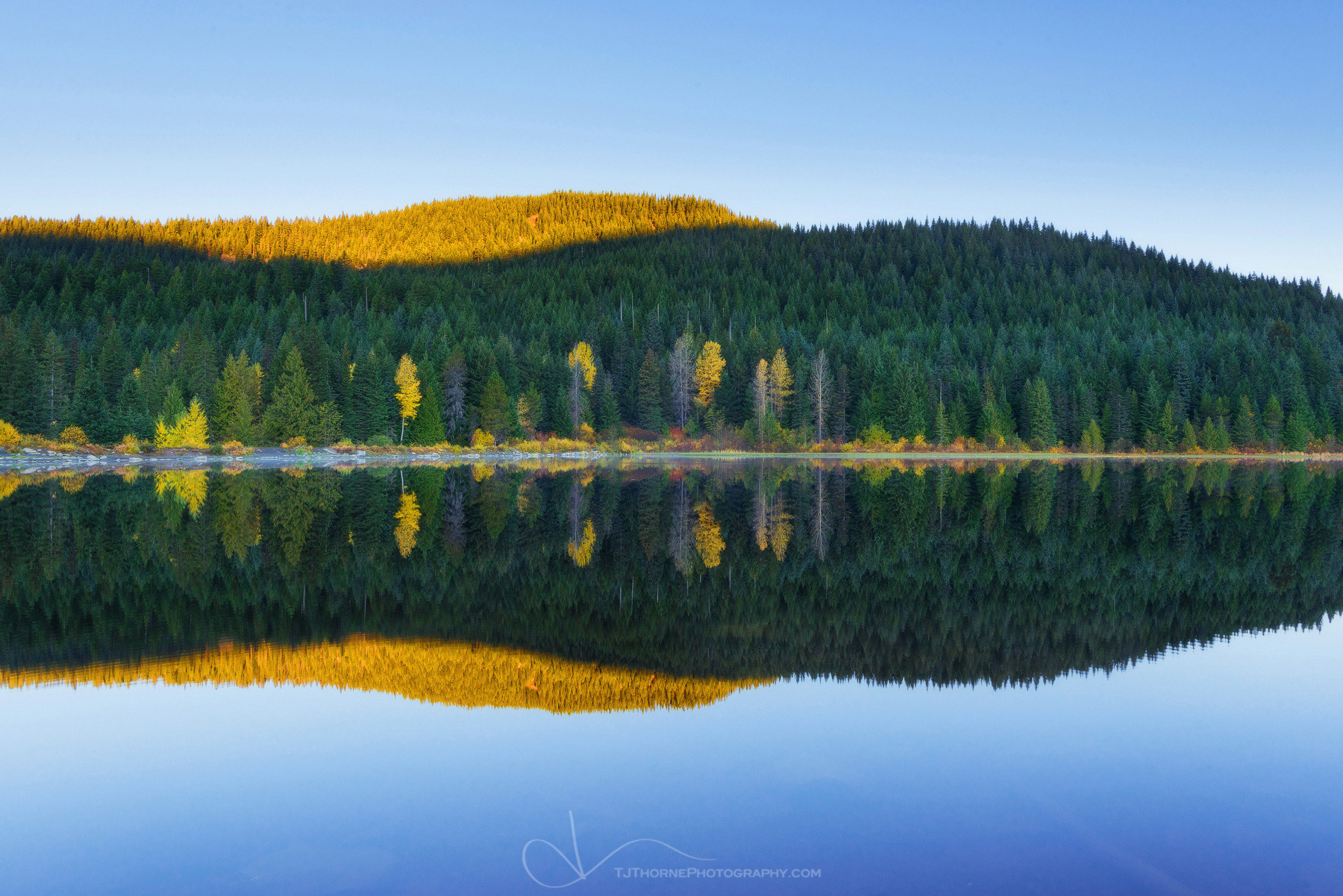 Sunrise light and autumn colors reflected in the waters Trillium Lake, Oregon.