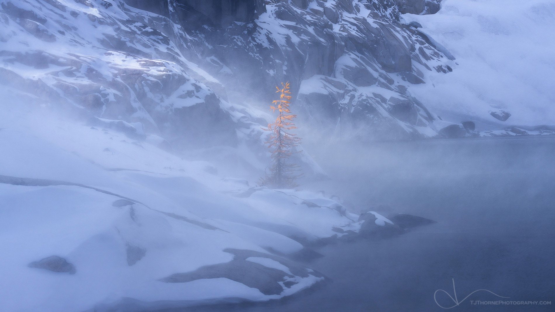 A lone larch tree in The Enchantments strives to bask in the light while it endures a snowy gust of wind. Stand strong little...